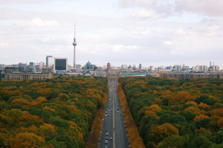 Bäume in Berlin