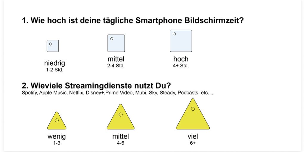 Ein Ausschnitt mit zwei Fragen aus dem gesamten A4-Fragebogen.